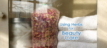 How to Use Herbs in Beauty Care