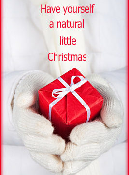 Green Holiday Gifts