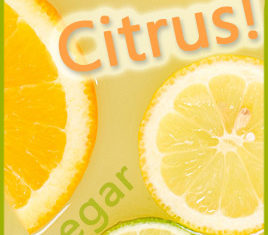 MIY Citrus Vinegar