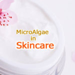 MicroAlgae use in Skincare Question