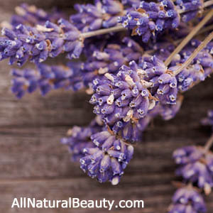 Lavender Powder Beauty Recipe