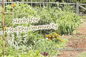 Herbs for Healthy Immunity