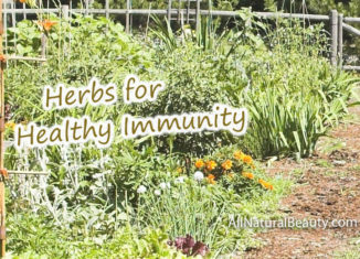 Herbs for Healthy Immunity