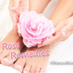 Rose benefits - Useful for wellness