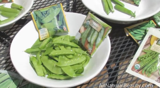 How to Grow Organic Peas